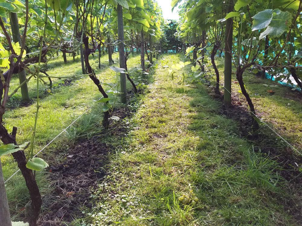 20190908_103311.jpg